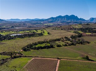 3.8 ha Smallholding in Stellenbosch Central