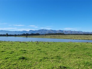 41 ha Farm in Paarl