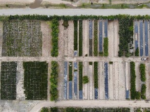 4.3 ha Farm in Stellenbosch Agricultural