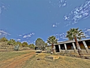 498 ha Farm in Bloemfontein