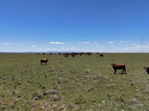 608 ha Farm in Matatiele