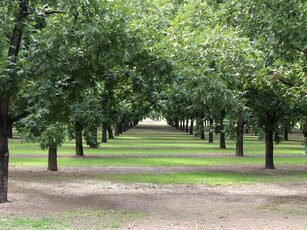 80 ha Farm in Hartbeesfontein