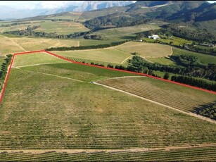 Farm in Stellenbosch Farms