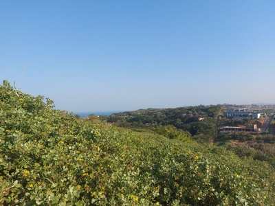 1,456m² Vacant Land For Sale in Zululami Luxury Coastal Estate