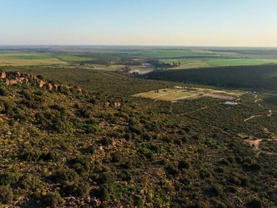 Farm For Sale In Wittewater, Piketberg
