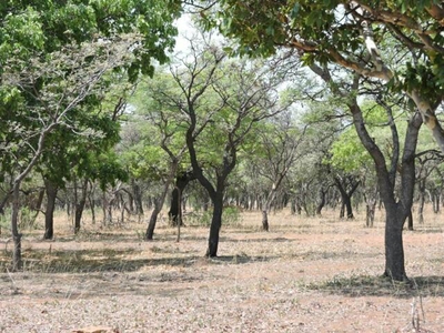 Farm For Sale In Koster, North West