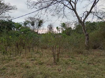 Lot For Sale In Hazyview, Mpumalanga