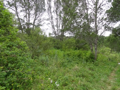 Vacant Land For Sale in Bathurst