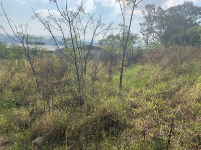 Vacant Land For Sale in Masons Mill