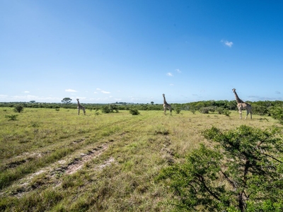 44,680m² Vacant Land For Sale in Bathurst