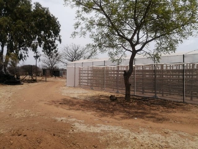 8Ha Farm For Sale in Tweefontein AH