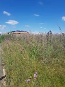 959m² Vacant Land For Sale in Bronkhorstbaai