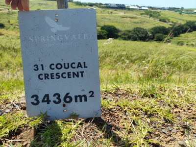3,436m² Vacant Land For Sale in Springvale Country Estate