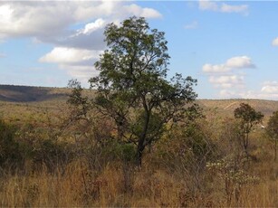 2 500 m² Land available in Zwartkloof Private Game Reserve
