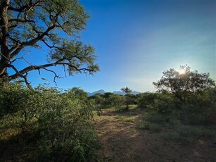 3 737 m² Land available in Blyde Wildlife Estate