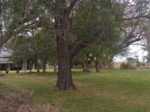 7 688 ha Farm in Victoria West