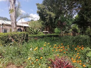 8 ha Farm in Tweefontein