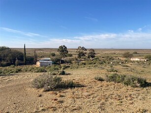 8 125 ha Farm in Loeriesfontein
