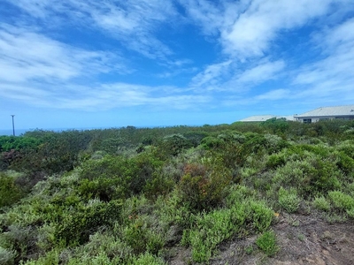 1,049m² Vacant Land For Sale in Dana Bay