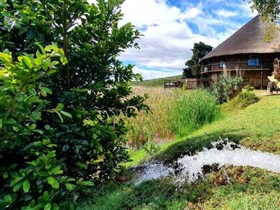 Farm For Sale In Uitenhage Rural, Uitenhage