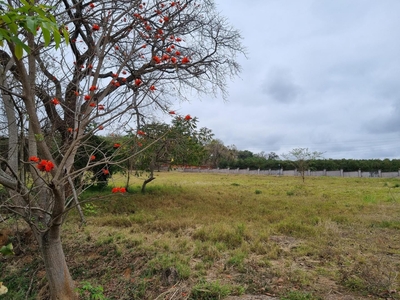 Vacant land / plot for sale in Hazyview