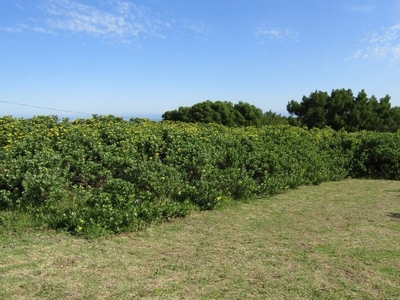 1,179m² Vacant Land For Sale in Oyster Bay
