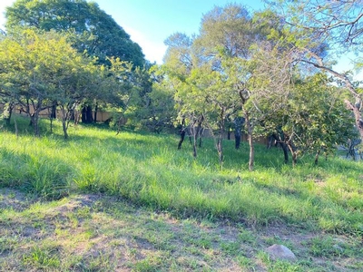 1,142m² Vacant Land For Sale in Drum Rock