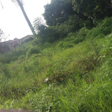 5 Plots for sale with Tittle Deed - Durban