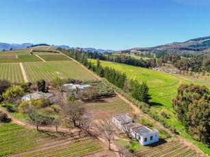 28 ha Farm in Stellenbosch Agricultural