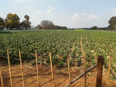 Farm For Sale In Kameeldrift West, Pretoria
