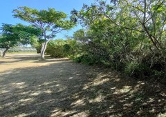 vacant land sold in boesmansriviermond