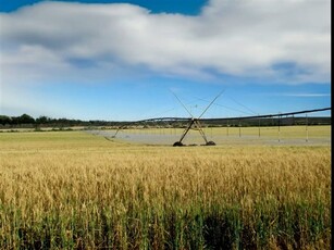 196.6 ha Farm in Douglas