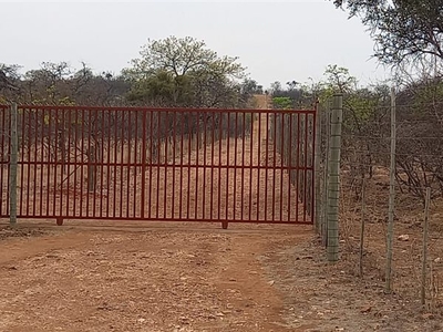 21 ha Land available in Musina