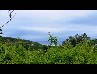 land property for sale in elysium