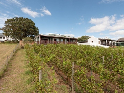 Luxurious 2-Bedroom Home with Vineyards & Mountain Views for Sale in Napier R4 million.