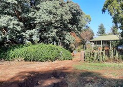6 ha Farm in Rietfontein