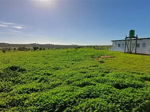 Farm in Vredenburg