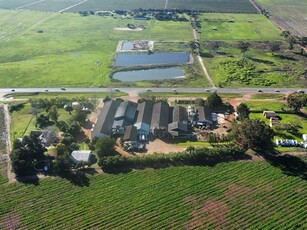 19.6 ha Farm in Stellenbosch Agricultural