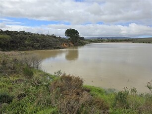 24 ha Farm in Stellenbosch Agricultural