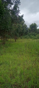 1023 m² Land available in Himeville