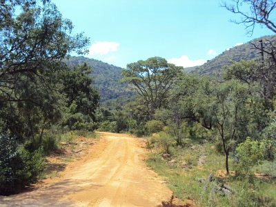Bushveld Game Farm For Sale South Africa