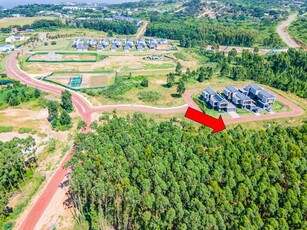 1,003m² Vacant Land For Sale in Elaleni Coastal Forest Estate