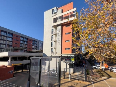 Apartment For Rent In Hatfield, Pretoria