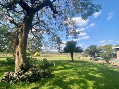 Farm For Sale In Hoedspruit, Limpopo