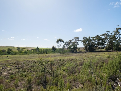Vacant Land For Sale in Napier