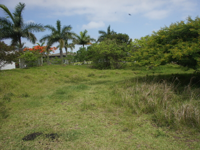 Vacant Land For Sale in Palm Lakes Estate