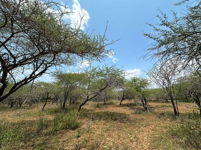 2,600m² Vacant Land Sold in Marloth Park