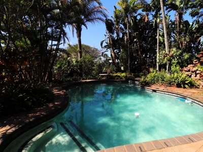 3 Bedroom Freehold To Let in Ballito Central