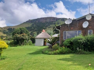 Farm For Sale In Dannhauser, Kwazulu Natal