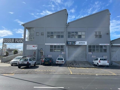 Industrial Property For Sale In Paarden Eiland, Cape Town